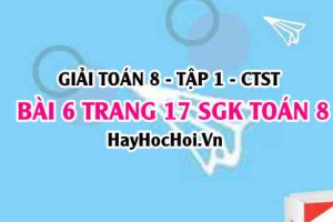 Giải bài 6 trang 17 Toán 8 Tập 1 SGK Chân trời sáng tạo